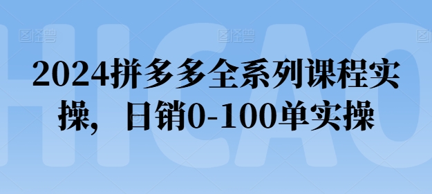 2024拼多多全系列课程实操，日销0-100单实操【必看】_微雨项目网