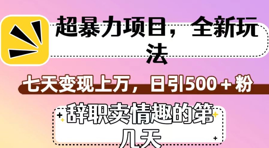 超暴利项目，全新玩法（辞职卖情趣的第几天），七天变现上万，日引500+粉【揭秘】_微雨项目网