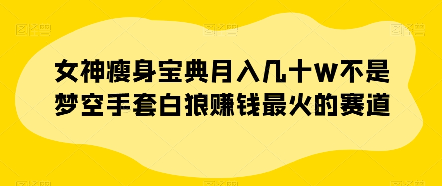 女神瘦身宝典月入几十W不是梦空手套白狼赚钱最火的赛道【揭秘】_微雨项目网