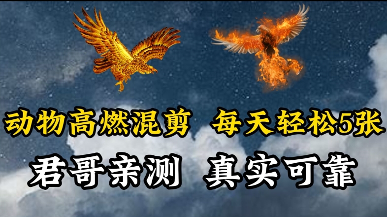 动物超燃混剪，每天轻松5张，剪辑简单大家爱看【揭秘】_微雨项目网