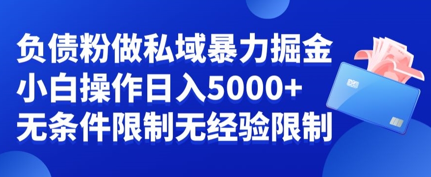 负债粉私域暴力掘金，小白操作入5000，无经验限制，无条件限制【揭秘】_微雨项目网