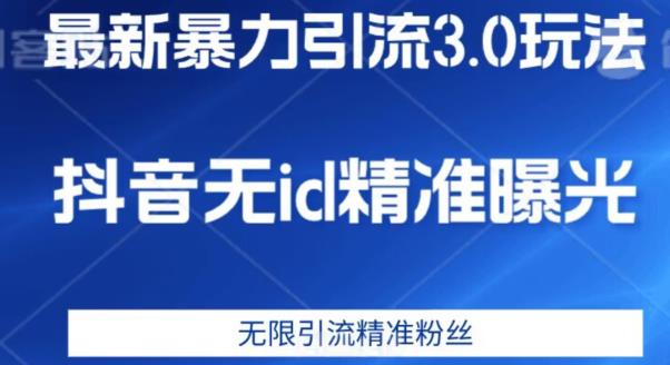 最新暴力引流3.0版本，抖音无id暴力引流各行业精准用户_微雨项目网