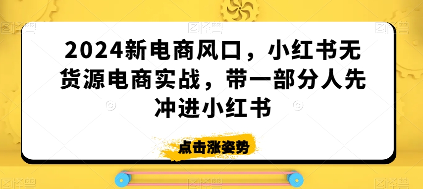 2024新电商风口，小红书无货源电商实战，带一部分人先冲进小红书_微雨项目网