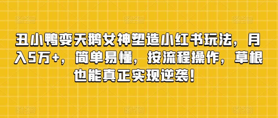 丑小鸭变天鹅女神塑造小红书玩法，月入5万+，简单易懂，按流程操作，草根也能真正实现逆袭！_微雨项目网