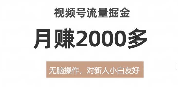 视频号流量掘金，无脑操作，对新人小白友好，月赚2000多【揭秘】_微雨项目网