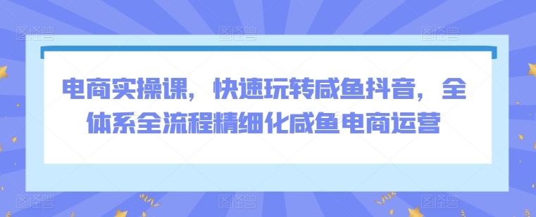 电商实操课，快速玩转咸鱼抖音，全体系全流程精细化咸鱼电商运营_微雨项目网