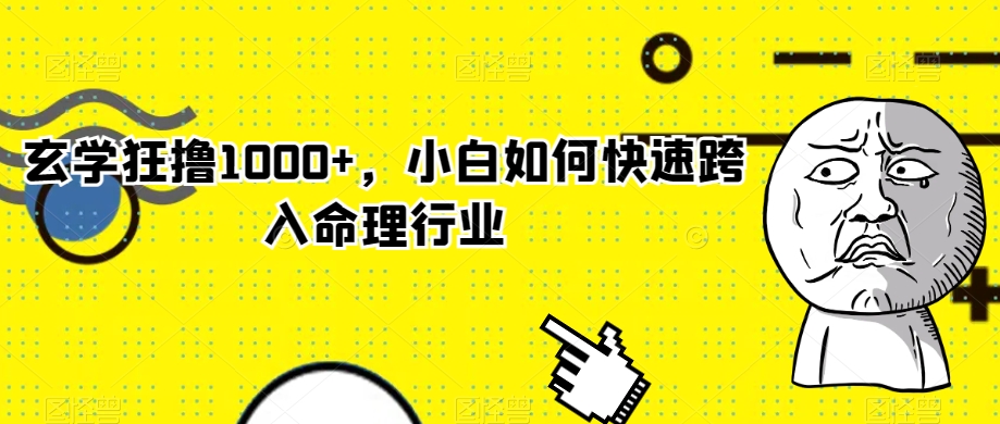 玄学狂撸1000+，小白如何快速跨入命理行业【揭秘】_微雨项目网