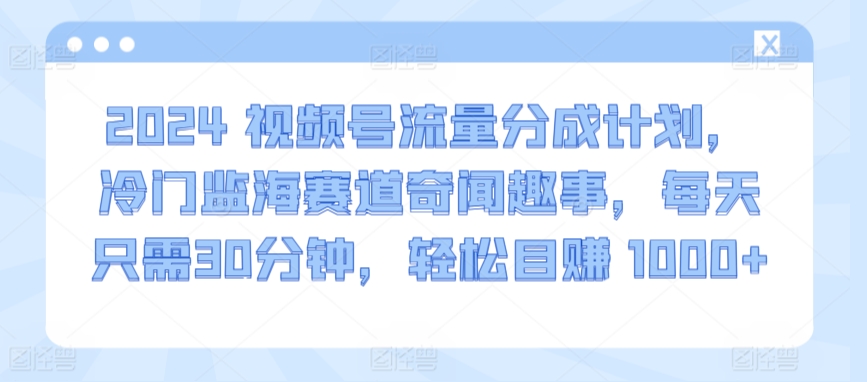 2024视频号流量分成计划，冷门监海赛道奇闻趣事，每天只需30分钟，轻松目赚 1000+【揭秘】_微雨项目网