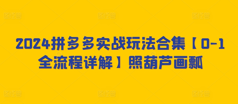 2024拼多多实战玩法合集【0-1全流程详解】照葫芦画瓢_微雨项目网