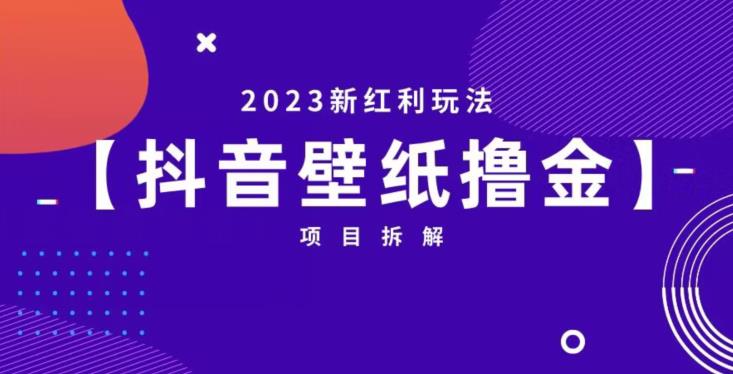 抖音壁纸小程序创作者撸金项目，2023新红利玩法【项目拆解】_微雨项目网