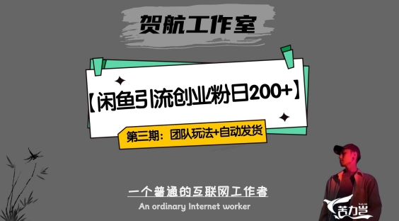 第三期：暴力引流，无脑搬运，闲鱼创业粉引流一天200+，更新全自动发货的团队闭环模式【揭秘】_微雨项目网