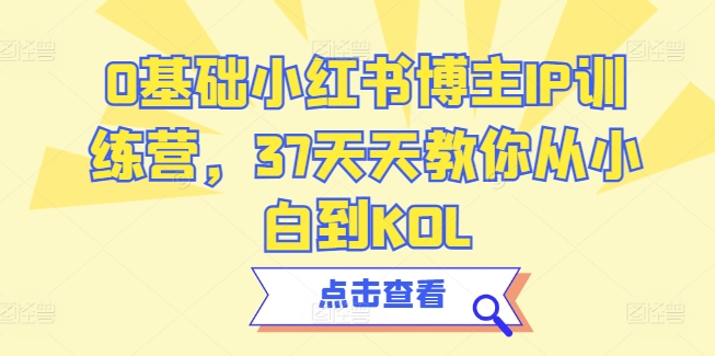 0基础小红书博主IP训练营，37天天教你从小白到KOL_微雨项目网