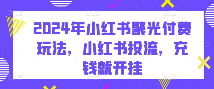 2024年小红书聚光付费玩法，小红书投流，充钱就开挂_微雨项目网