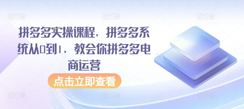 拼多多实操课程，拼多多系统从0到1，教会你拼多多电商运营_微雨项目网