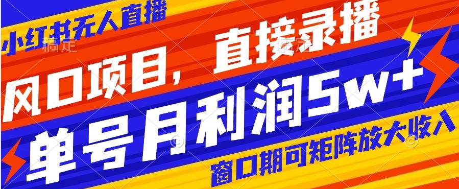 风口项目，小红书无人直播带货，直接录播，可矩阵，月入5w+【揭秘】_微雨项目网