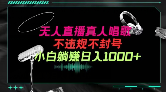 抖音24小时无人直播音乐，不违规，不封号纯撸音浪，小白实操当天日入1000+【揭秘】_微雨项目网