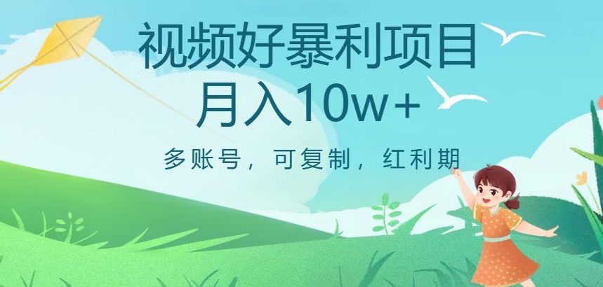 视频号暴利项目，多账号，可复制，红利期，月入10w+【揭秘】_微雨项目网