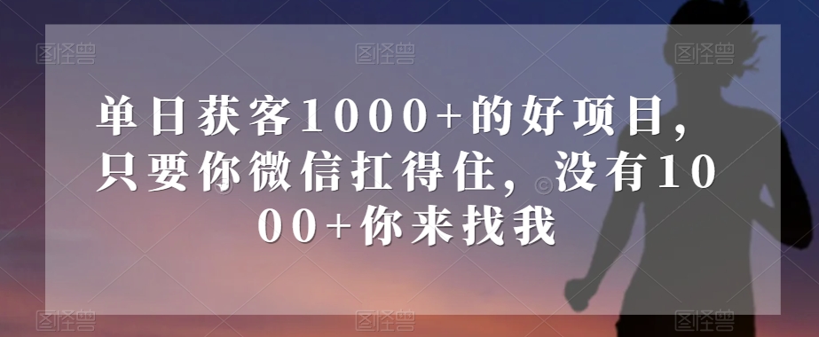 单日获客1000+的好项目，只要你微信扛得住，没有1000+你来找我【揭秘】_微雨项目网