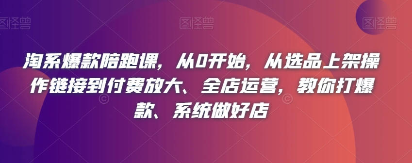 淘系爆款陪跑课，从0开始，从选品上架操作链接到付费放大、全店运营，教你打爆款、系统做好店_微雨项目网