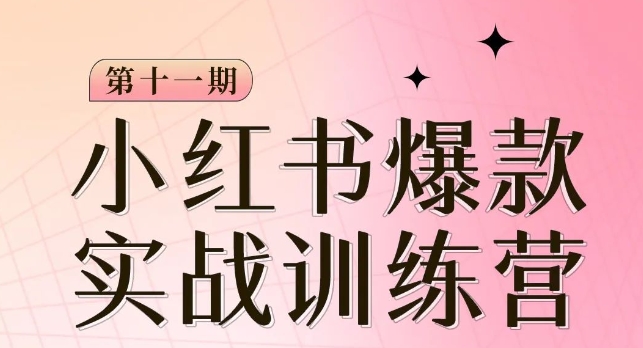 小红书博主爆款训练营第11期，手把手教你从0-1做小红书，从定位到起号到变现_微雨项目网