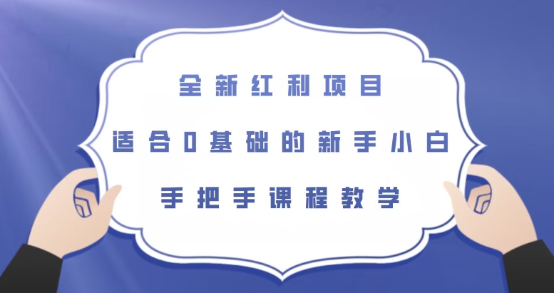 全新红利项目，适合0基础的新手小白，手把手课程教学【揭秘】_微雨项目网