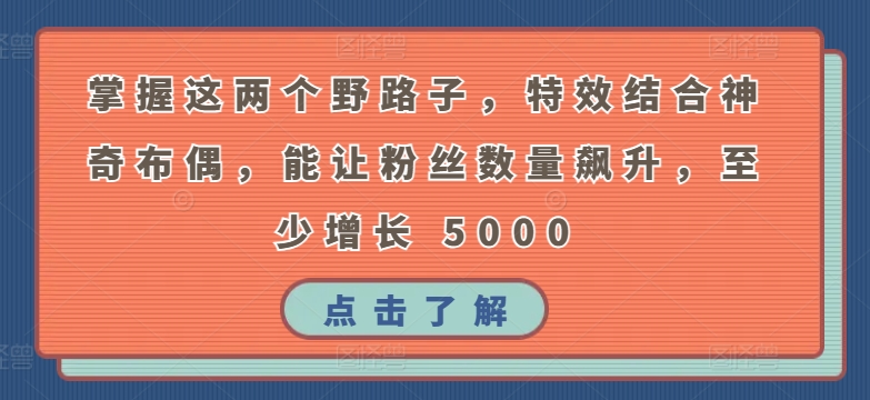 掌握这两个野路子，特效结合神奇布偶，能让粉丝数量飙升，至少增长 5000【揭秘】_微雨项目网