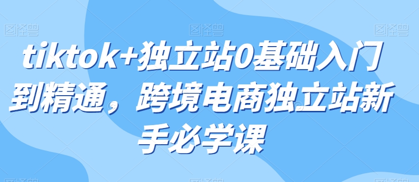 tiktok+独立站0基础入门到精通，跨境电商独立站新手必学课_微雨项目网