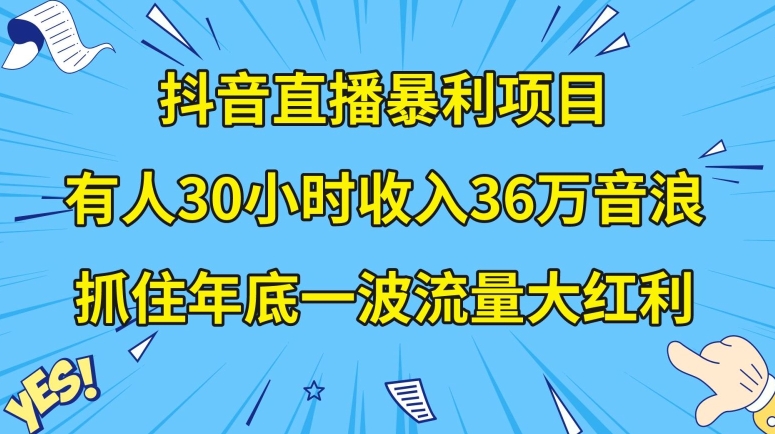 抖音直播暴利项目，有人30小时收入36万音浪，公司宣传片年会视频制作，抓住年底一波流量大红利【揭秘】_微雨项目网