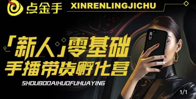 2023点金手·新人零基础手播带货孵化营：账号运营篇+主播话术篇+数据流量篇等_微雨项目网