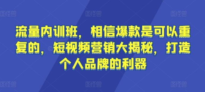 流量内训班，相信爆款是可以重复的，短视频营销大揭秘，打造个人品牌的利器_微雨项目网