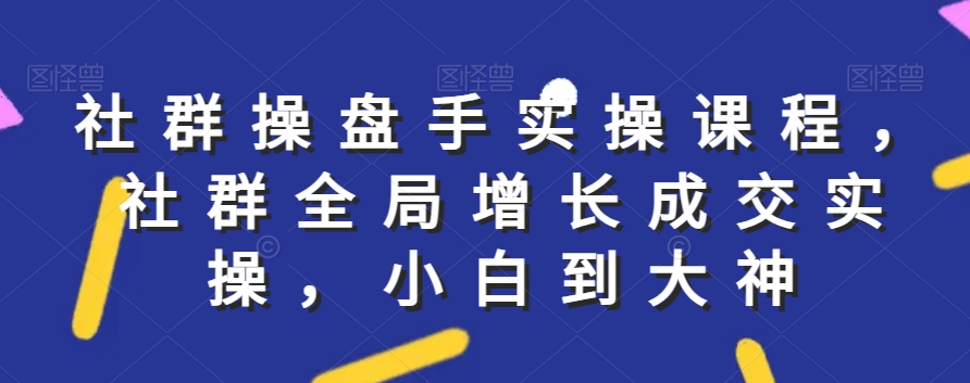 社群实操课程，社群全局增长成交实操，小白到大神_微雨项目网