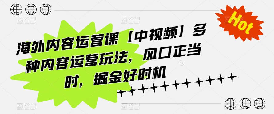 海外内容运营课【中视频】多种内容运营玩法，风口正当时，掘金好时机_微雨项目网