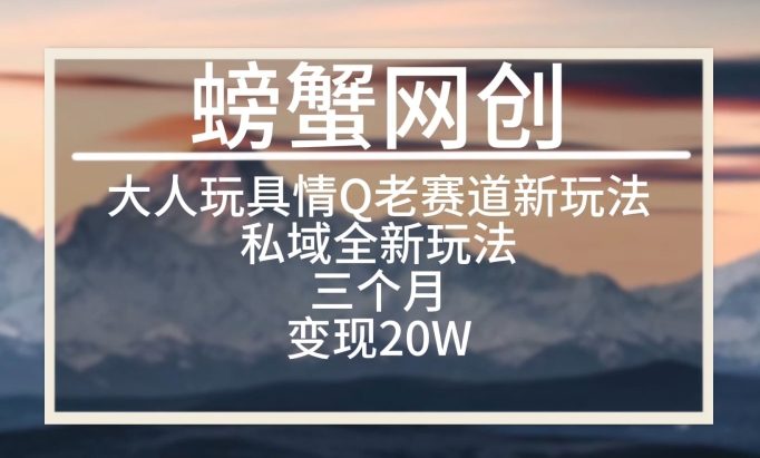 大人玩具情Q用品赛道私域全新玩法，三个月变现20W，老项目新思路【揭秘】_微雨项目网