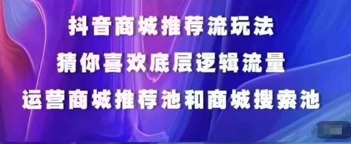 抖音商城运营课程，猜你喜欢入池商城搜索商城推荐人群标签覆盖_微雨项目网