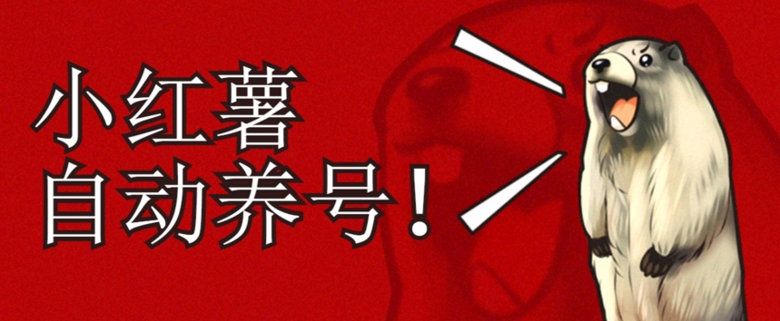 小红书养号秘籍，如何自动涨粉清晰系统标签打造高权重账号【揭秘】_微雨项目网
