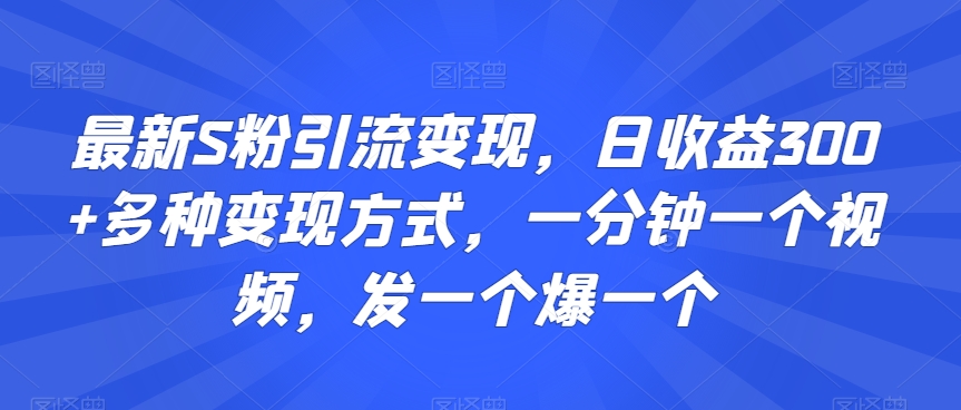 最新S粉引流变现，日收益300+多种变现方式，一分钟一个视频，发一个爆一个【揭秘】_微雨项目网