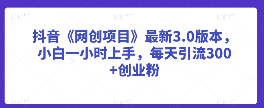 抖音《网创项目》最新3.0版本，小白一小时上手，每天引流300+创业粉【揭秘】_微雨项目网