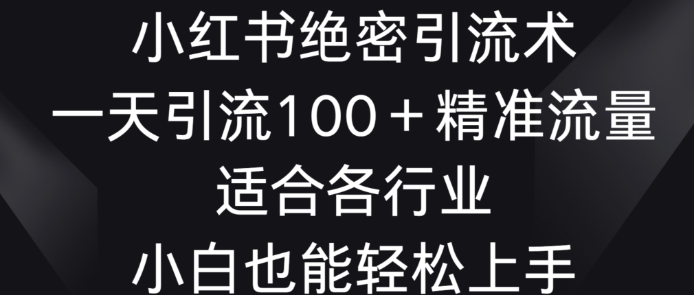 小红书绝密引流术，一天引流100+精准流量，适合各个行业，小白也能轻松上手【揭秘】_微雨项目网