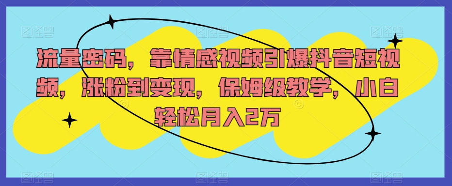 流量密码，靠情感视频引爆抖音短视频，涨粉到变现，保姆级教学，小白轻松月入2万【揭秘】_微雨项目网