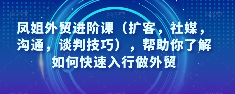 凤姐外贸进阶课（扩客，社媒，沟通，谈判技巧），帮助你了解如何快速入行做外贸_微雨项目网