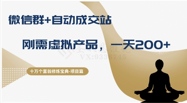十万个富翁修炼宝典之8.微信群+自动成交站，刚需虚拟产品，一天200+_微雨项目网