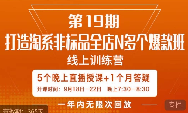 打造淘系非标全店N多个爆款线上课，​5天直播课_微雨项目网