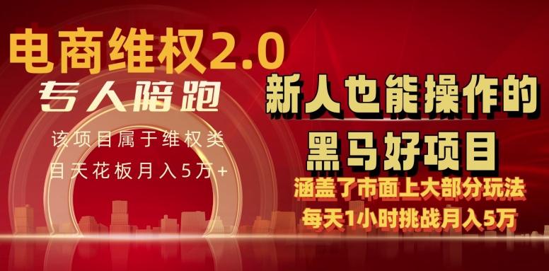 电商维权 4.0 如何做到月入 5 万+每天 1 小时新人也能快速上手【仅揭秘】_微雨项目网