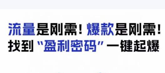 电商盈利精品课：6大盈利密码让产品更好卖，流量是刚需！爆款是刚需！找到”盈利密码”一键起爆_微雨项目网