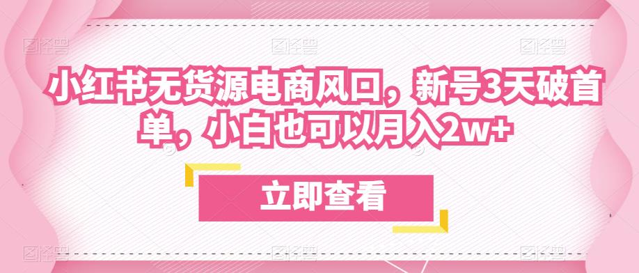 众狼电商余文小红书无货源电商风口，新号3天破首单，小白也可以月入2w+_微雨项目网
