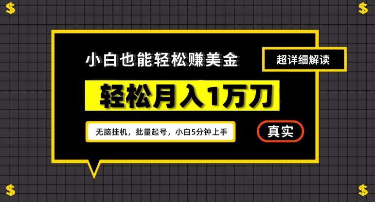 谷歌看广告撸美金2.0，无脑挂机，多号操作，月入1万刀【揭秘】_微雨项目网