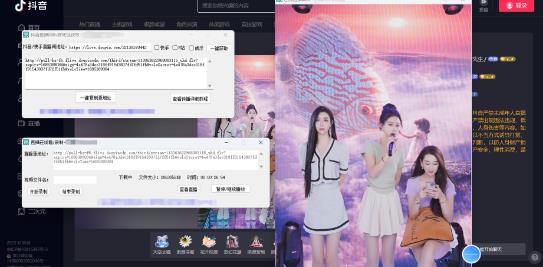 最新电脑版抖音/快手/B站直播源获取+直播间实时录制+直播转播软件【全套软件+详细教程】_微雨项目网