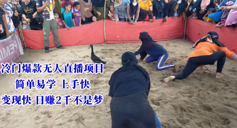 冷门爆款无人直播项目，简单易学上手快，变现快日赚2千不是梦【揭秘】_微雨项目网