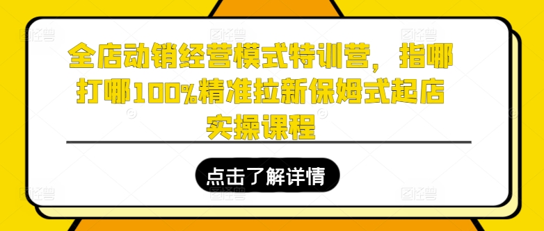 全店动销经营模式特训营，指哪打哪100%精准拉新保姆式起店实操课程_微雨项目网