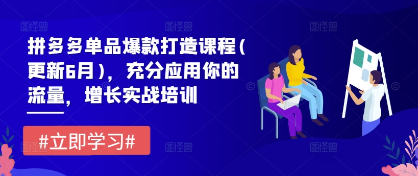 拼多多单品爆款打造课程(更新6月)，充分应用你的流量，增长实战培训_微雨项目网
